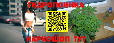 МДПВ Волгодонск