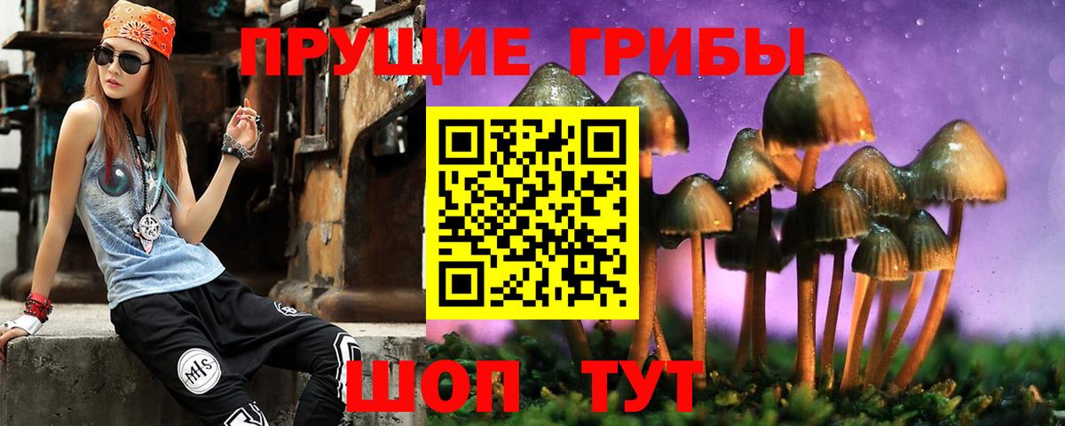 Белореченск  Галлюциногенные грибы GOLDEN TEACHER  Вход с VPN 